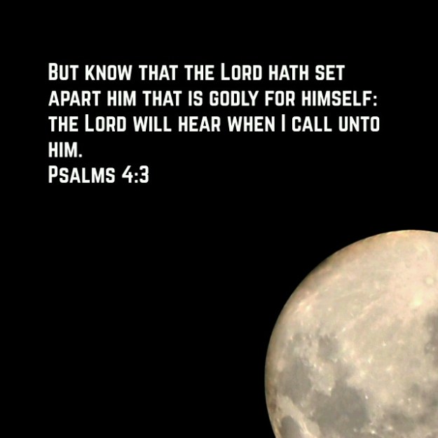 wp-1430410338493 image