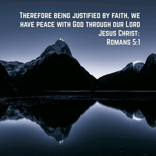 wp-1430842521510 image