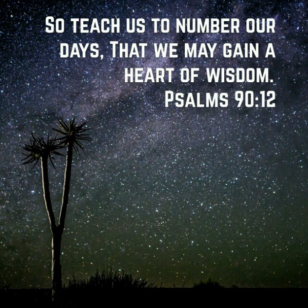 wp-1438012282374 image