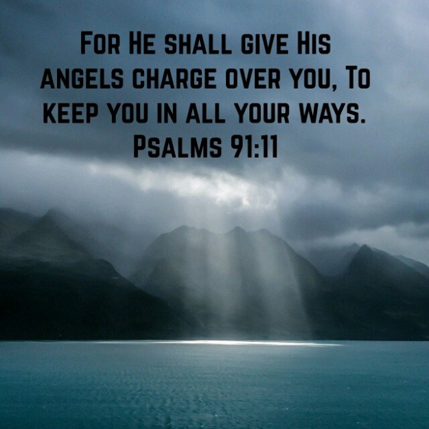 wp-1438099221918 image