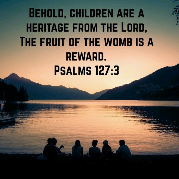 wp-1438187287678 image