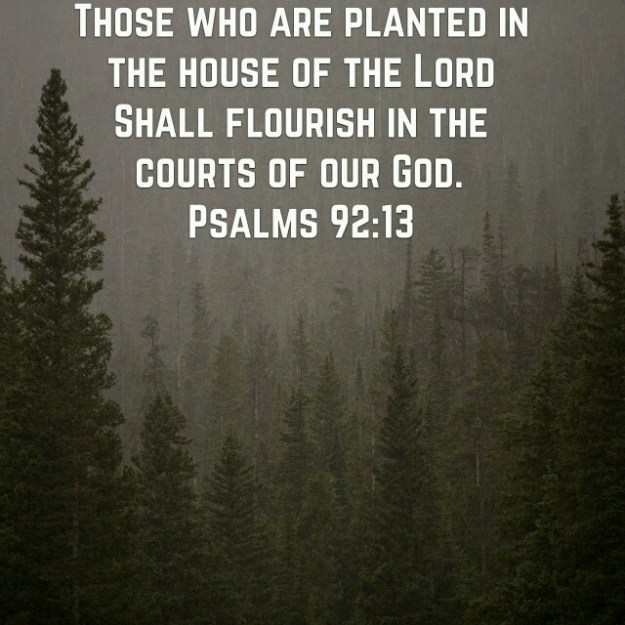 wp-1438275062013 image