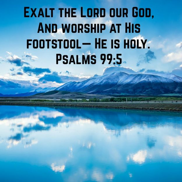 wp-1438876614469 image