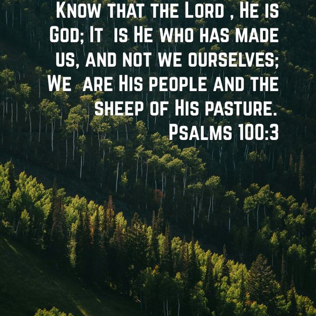 wp-1438965483913 image