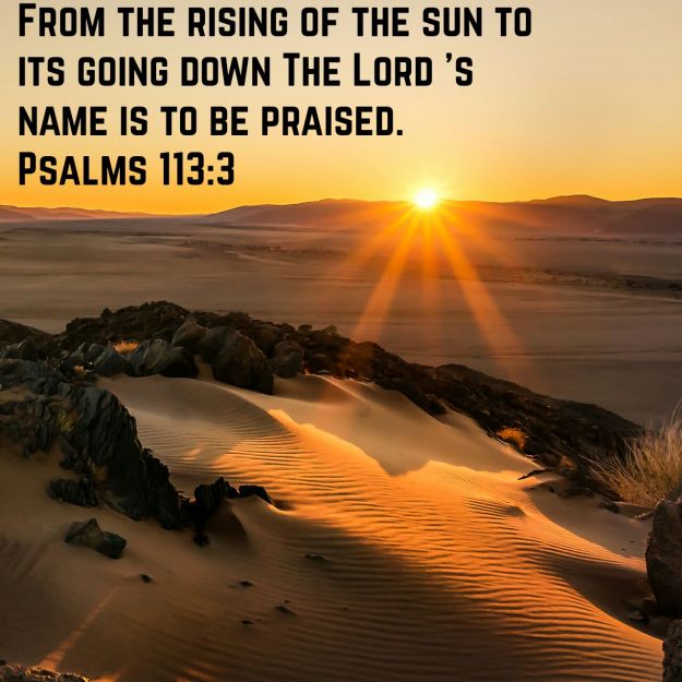 wp-1440521964092 image