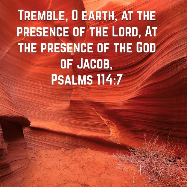 wp-1440605891415 image