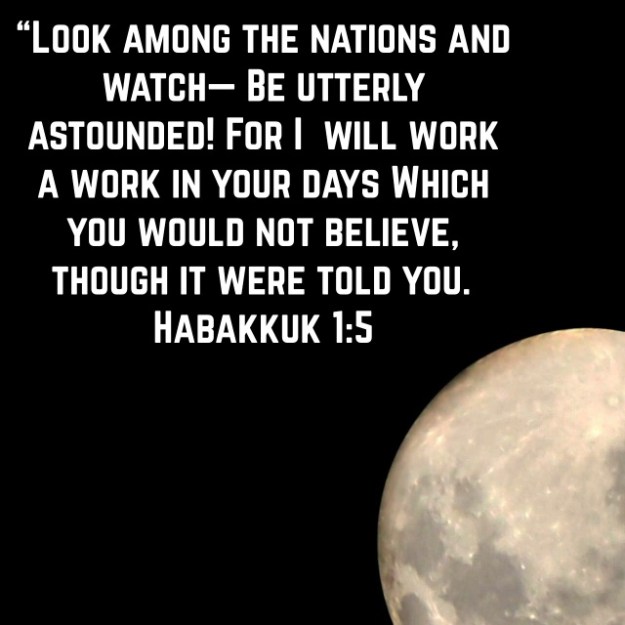 wp-1440876848361 image