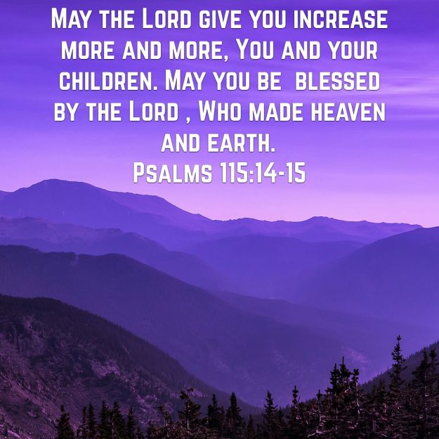 wp-1441038663488 image