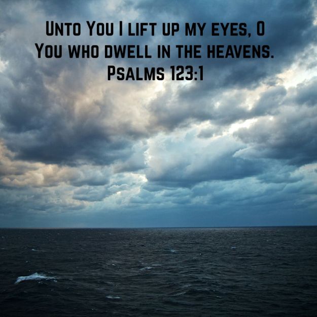 wp-1441819432521 image