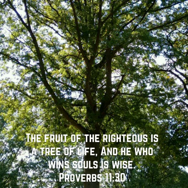 wp-1443186049981 image