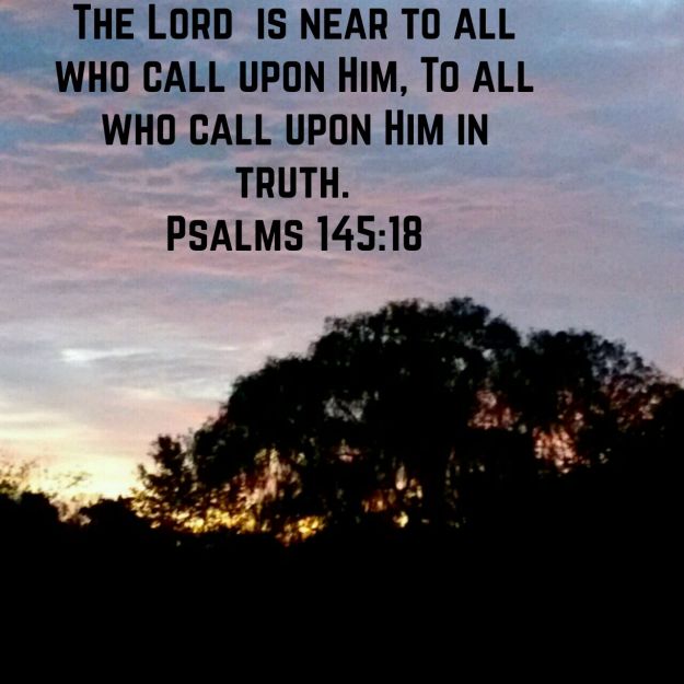 wp-1443446970867 image