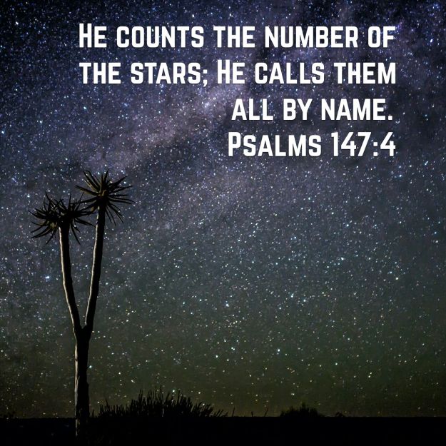 wp-1443621922826 image