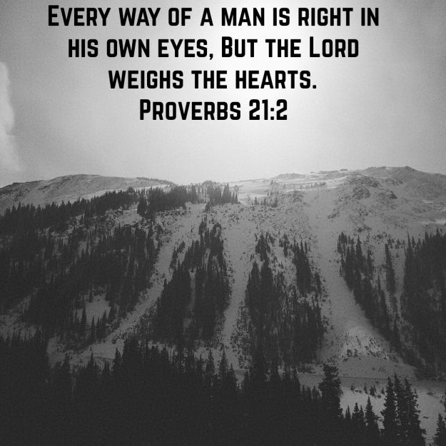 wp-1445866280917 image