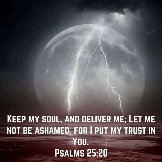 wp-1445955482914 image