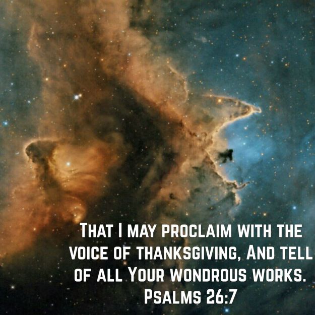 wp-1446126272797 image