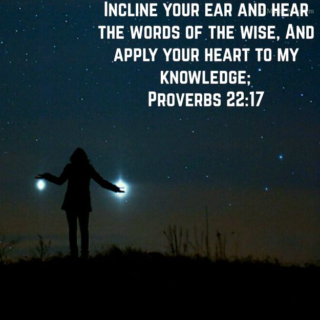 wp-1446209231982 image