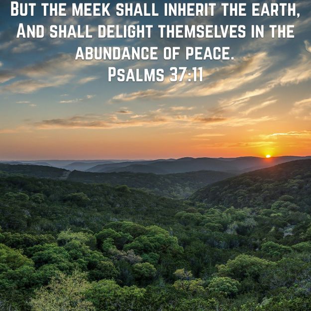 wp-1448888903832 image