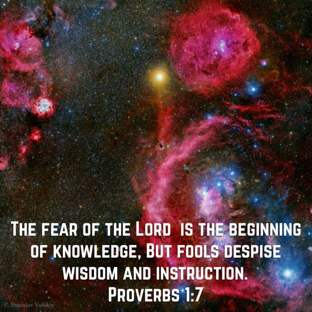 wp-1448287611521 image