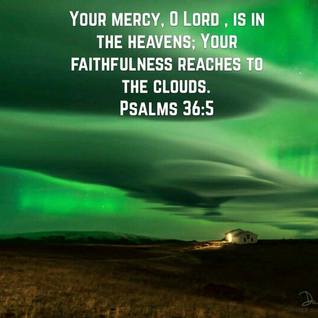 wp-1448388768183 image