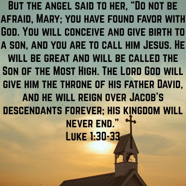 wp-1450979727246 image