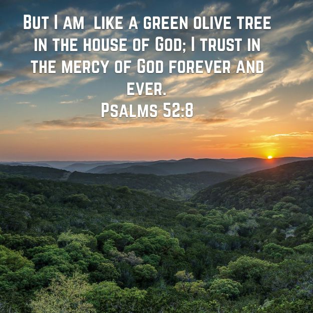 wp-1451404340004 image