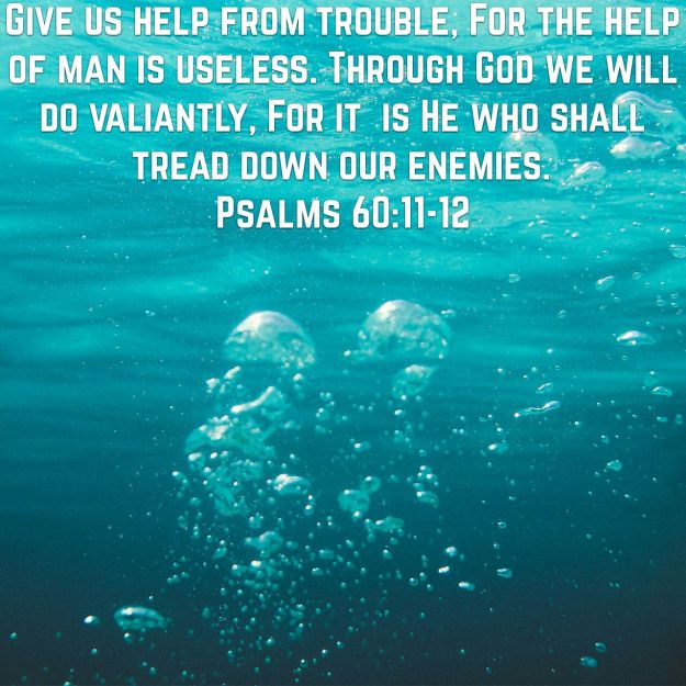 wp-1452879026950 image