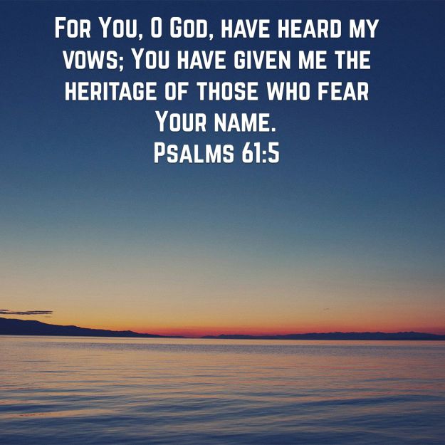 wp-1453228998810 image