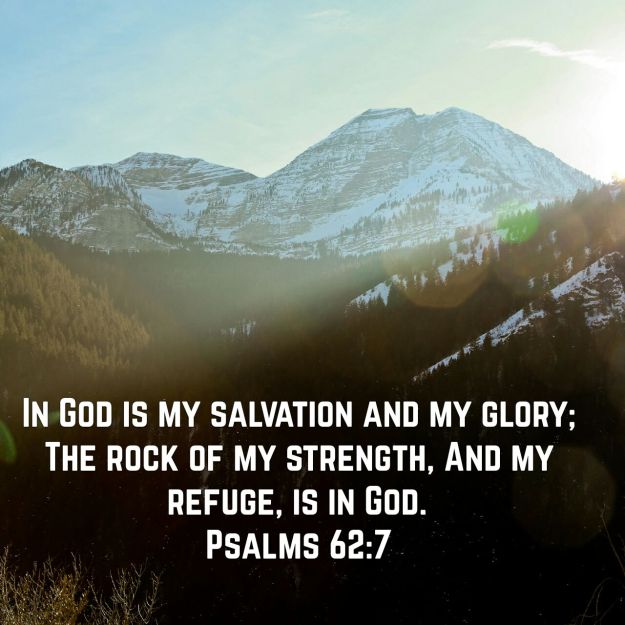 wp-1453310417115 image