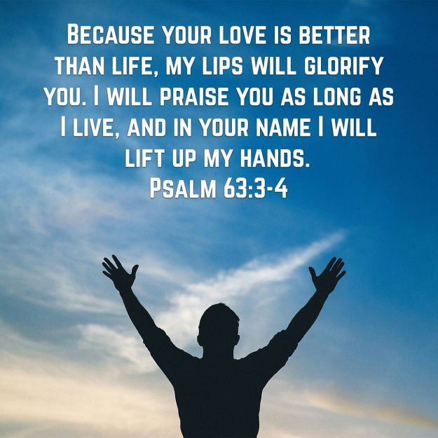 wp-1456416940621 image