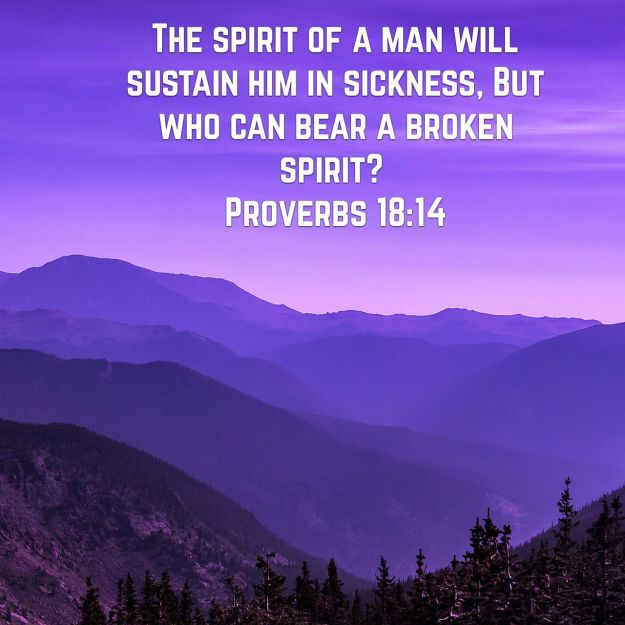 wp-1459273163793 image