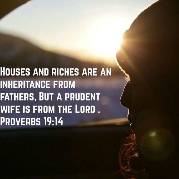 wp-1459352170118 image