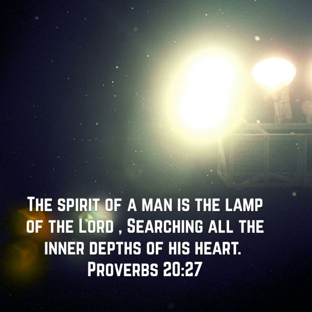 wp-1459439023311 image