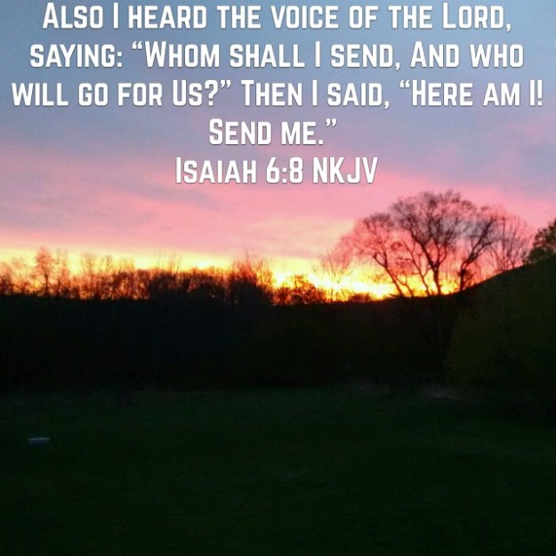 wp-1461860435273 image