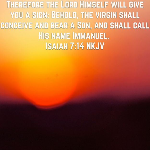 wp-1461947236312 image