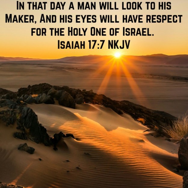 wp-1462895341935 image