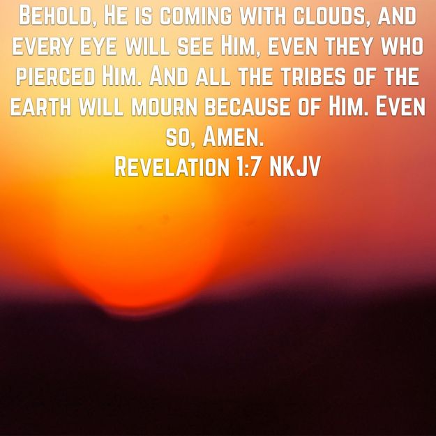 wp-1463150094088 image