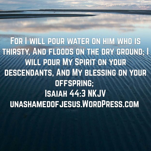 wp-1467044652199 image