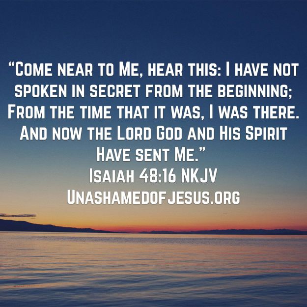 wp-1467215750026 image