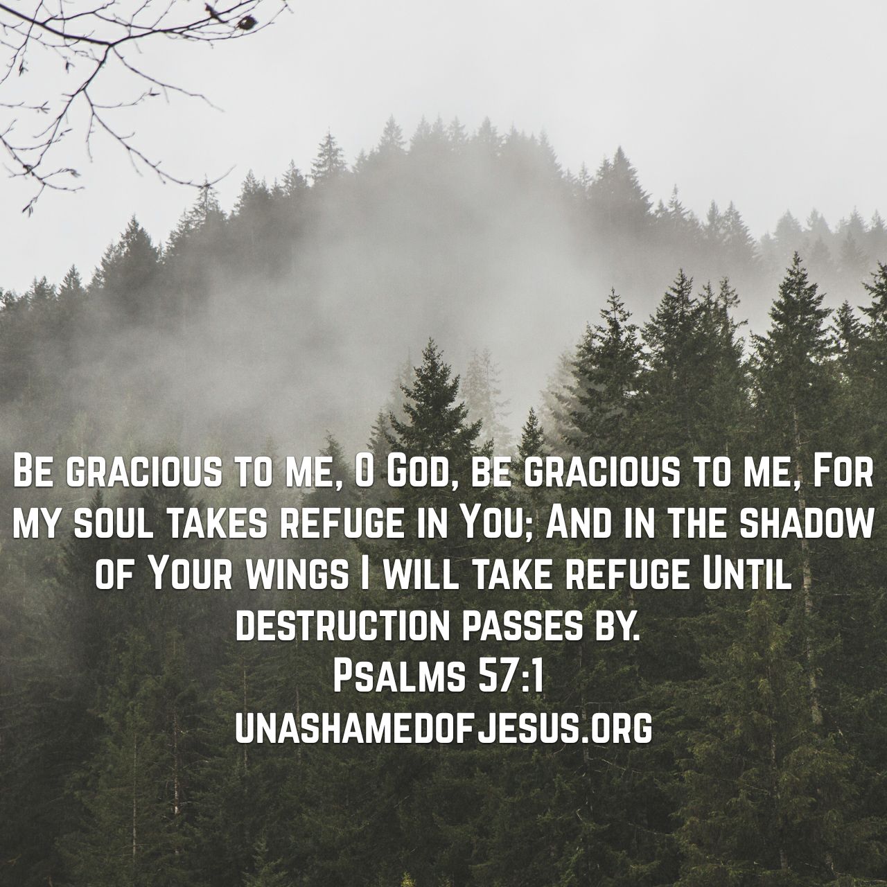 Be Gracious | Unashamed of Jesus
