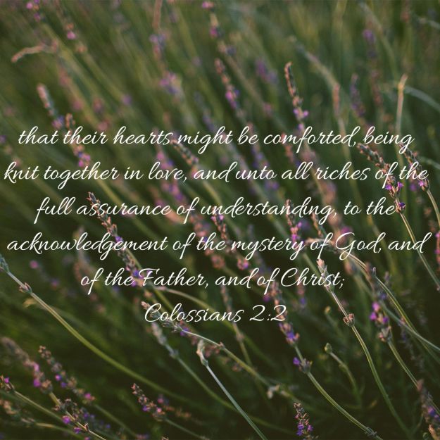 Colossians 2- Knit Together In Christ | Unashamed of Jesus