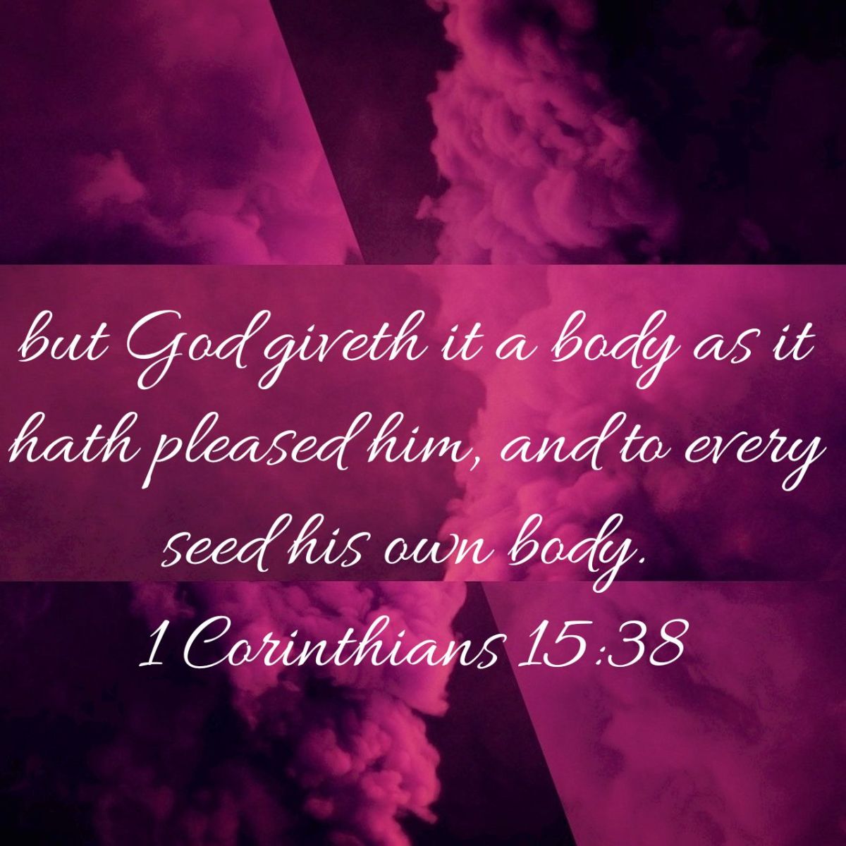 1 Corinthians 15 Glorification Part 1 Unashamed of Jesus